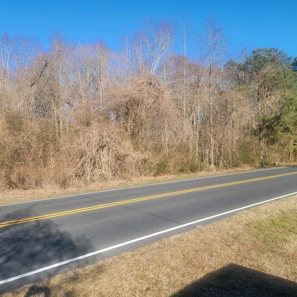 Lots Chincoteague Road New Church, VA 23415 - Photo 3 of 3