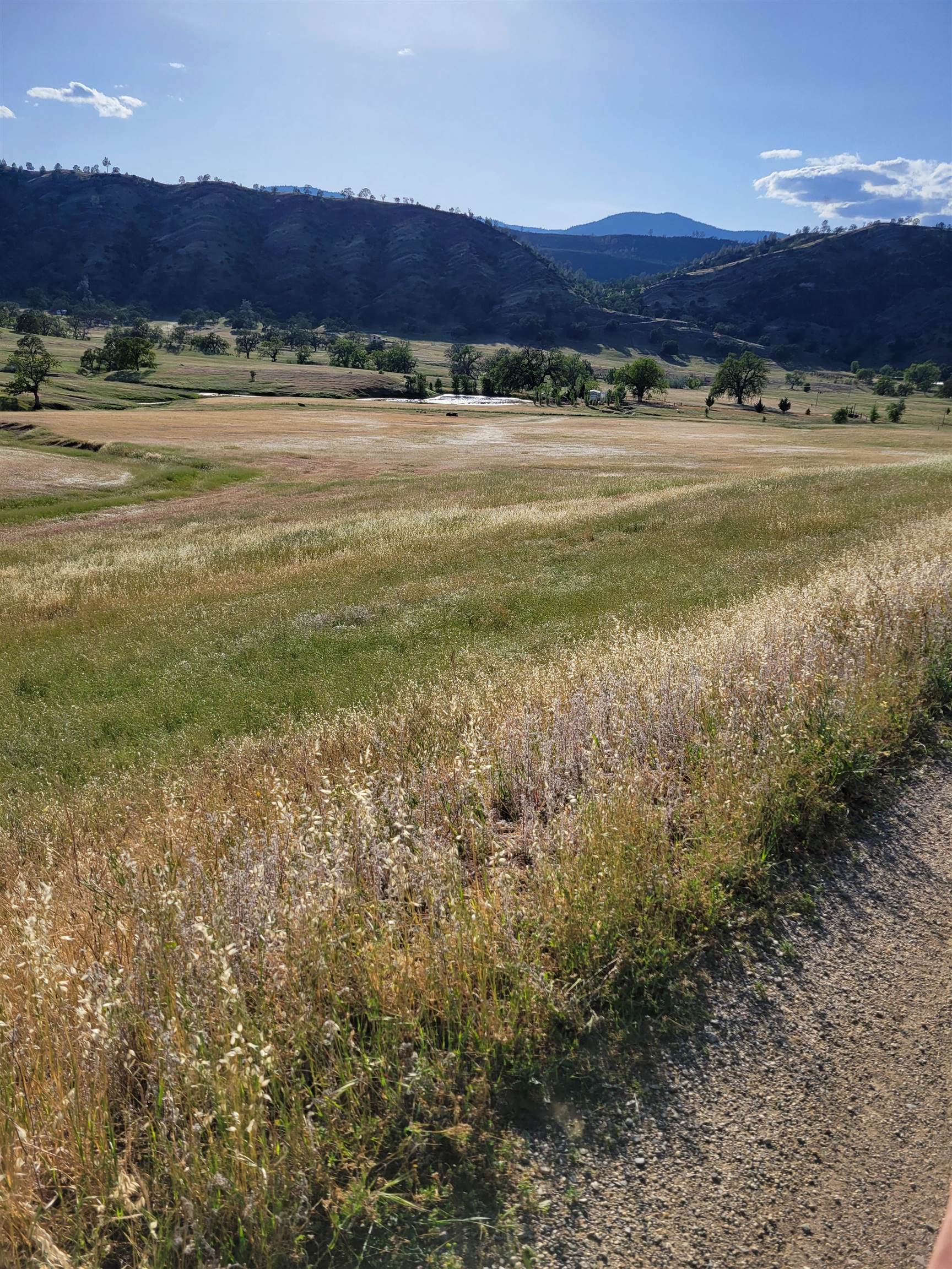 0 High Flat Road Red Bluff, CA 96080 - Photo 7 of 15