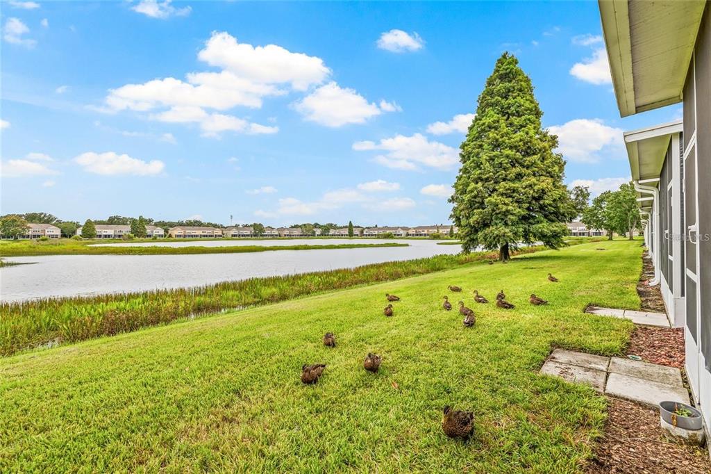 4879 Pond Ridge Drive Riverview, FL 33578 - Photo 40 of 57 Gallery Image 40