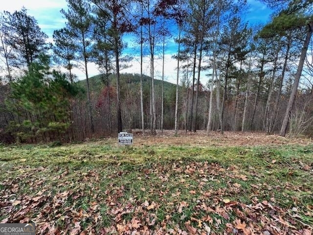 0 Ridge Peak View, Unit LOT 62 Blairsville, GA 30512 - Photo 1 of 55