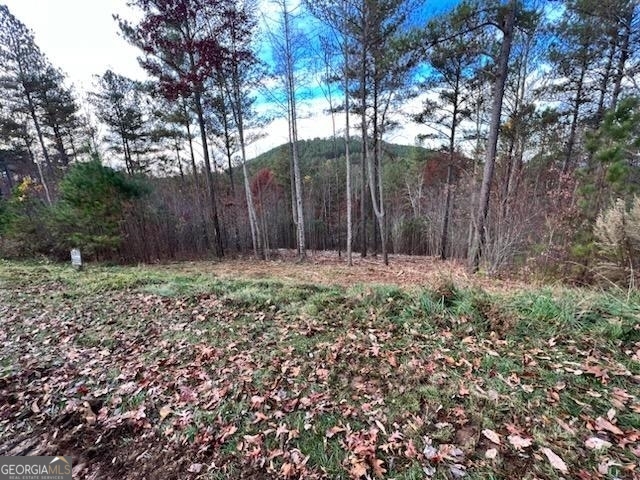 0 Ridge Peak View, Unit LOT 62 Blairsville, GA 30512 - Photo 2 of 55
