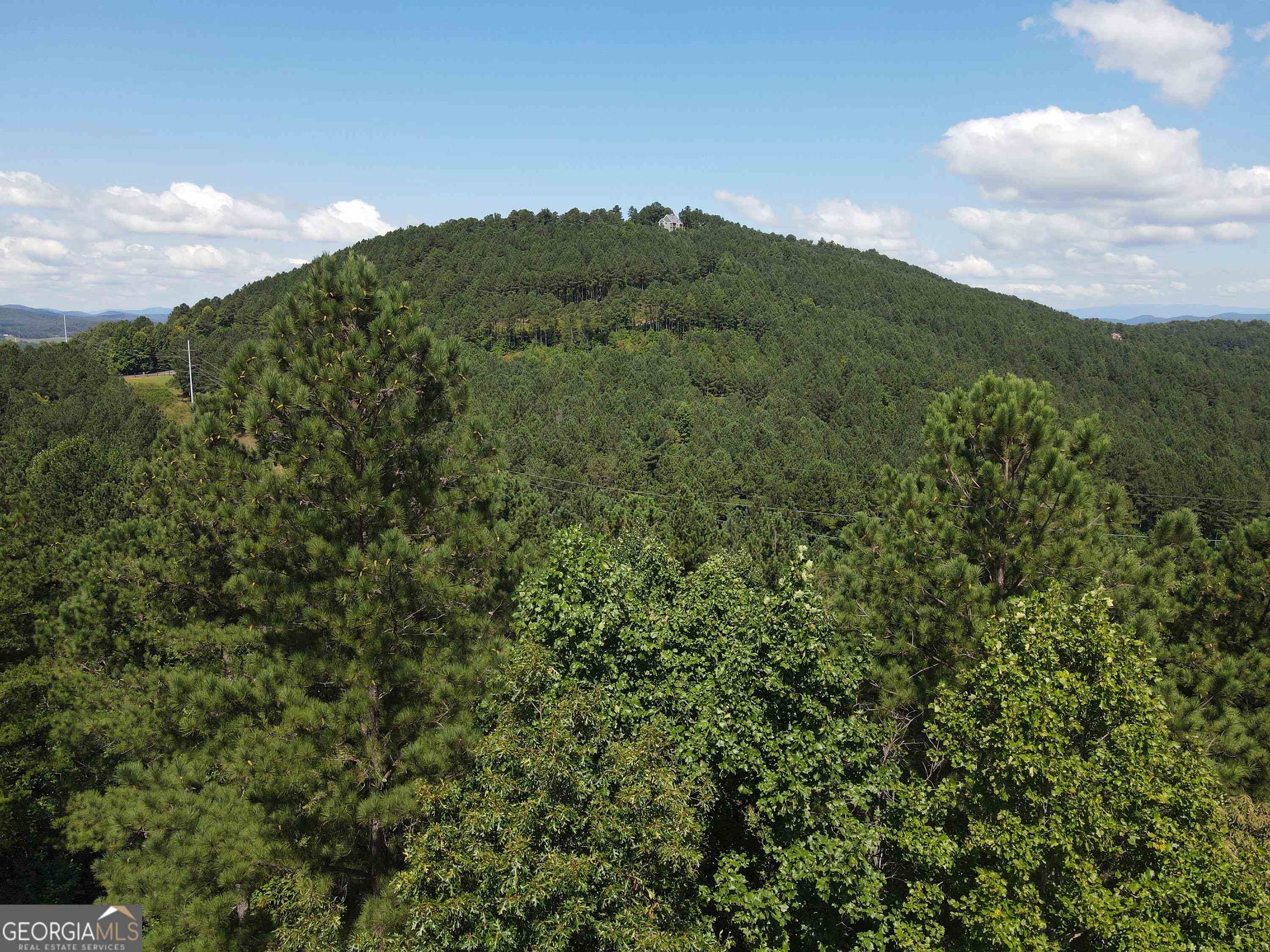 0 Ridge Peak View, Unit LOT 62 Blairsville, GA 30512 - Photo 3 of 55