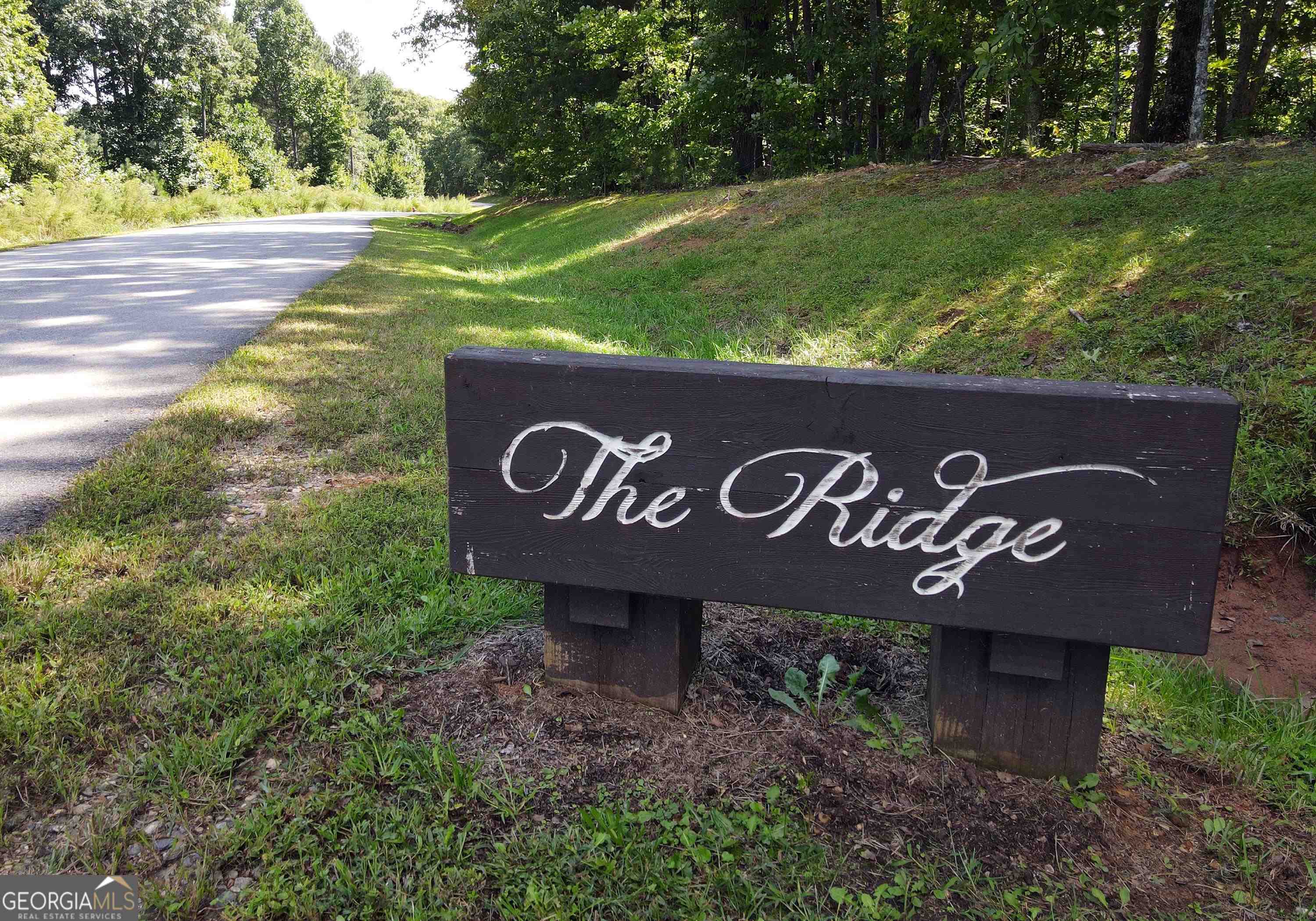 0 Ridge Peak View, Unit LOT 62 Blairsville, GA 30512 - Photo 33 of 55