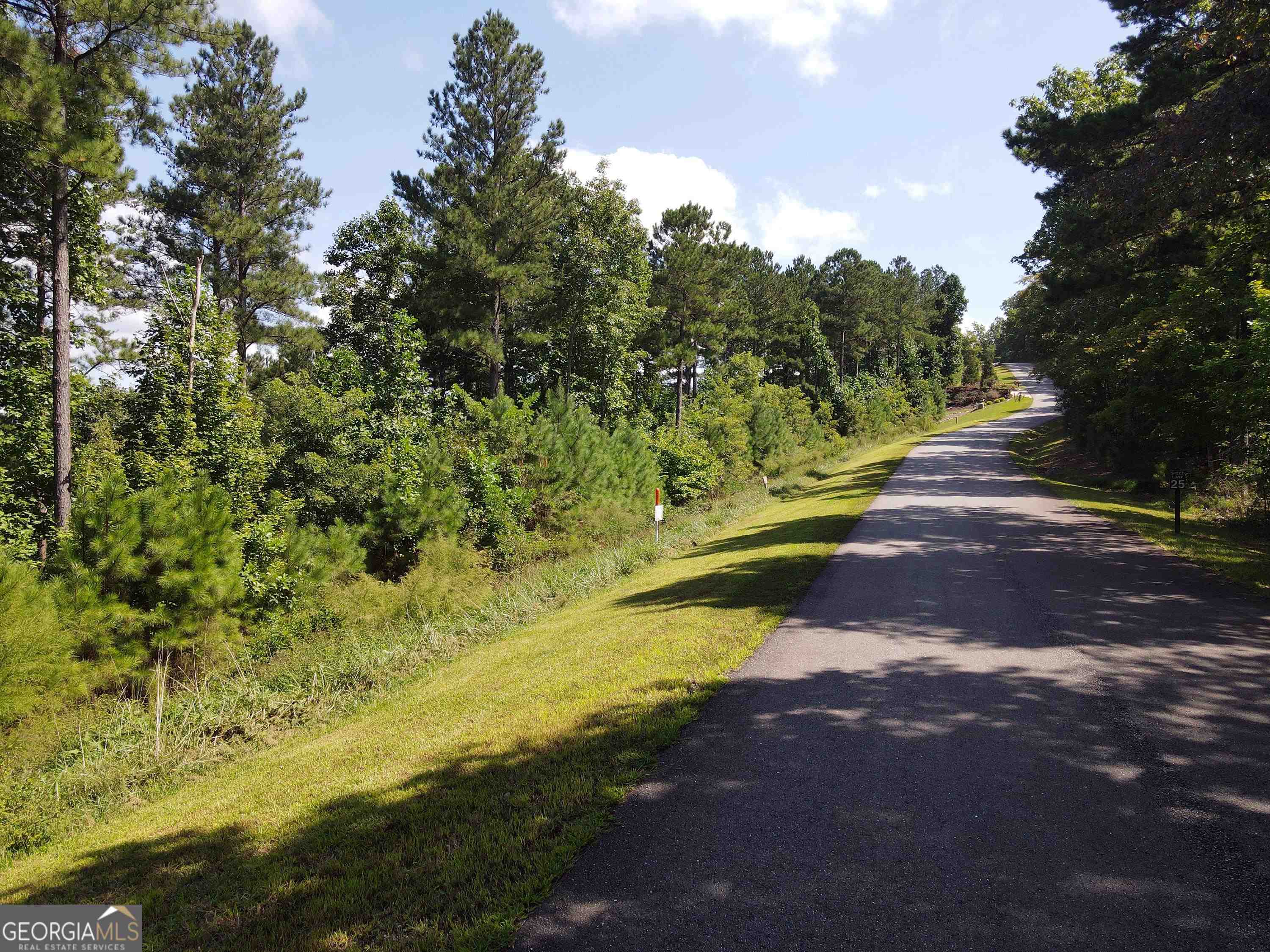 0 Ridge Peak View, Unit LOT 62 Blairsville, GA 30512 - Photo 35 of 55