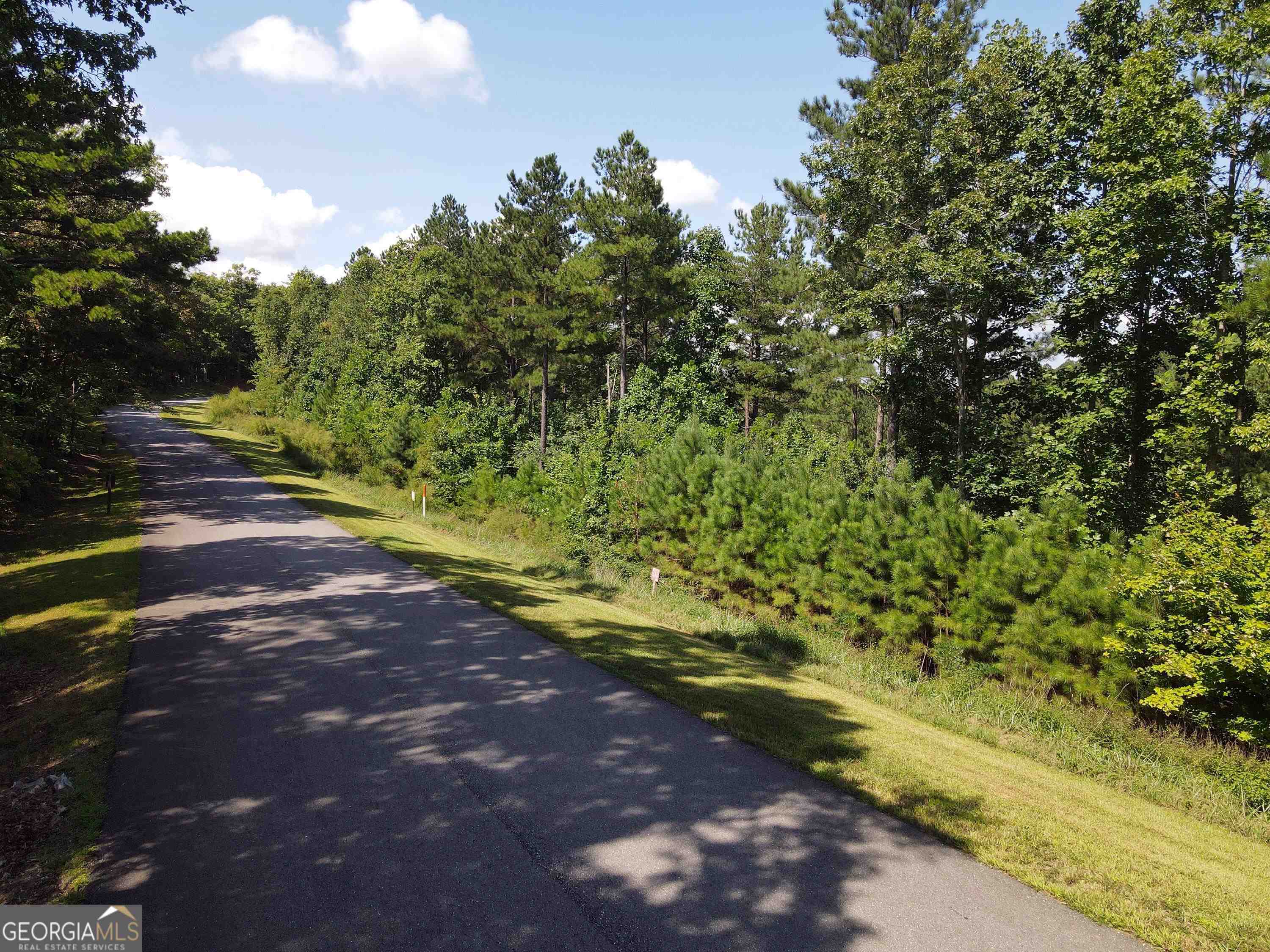 0 Ridge Peak View, Unit LOT 62 Blairsville, GA 30512 - Photo 36 of 55