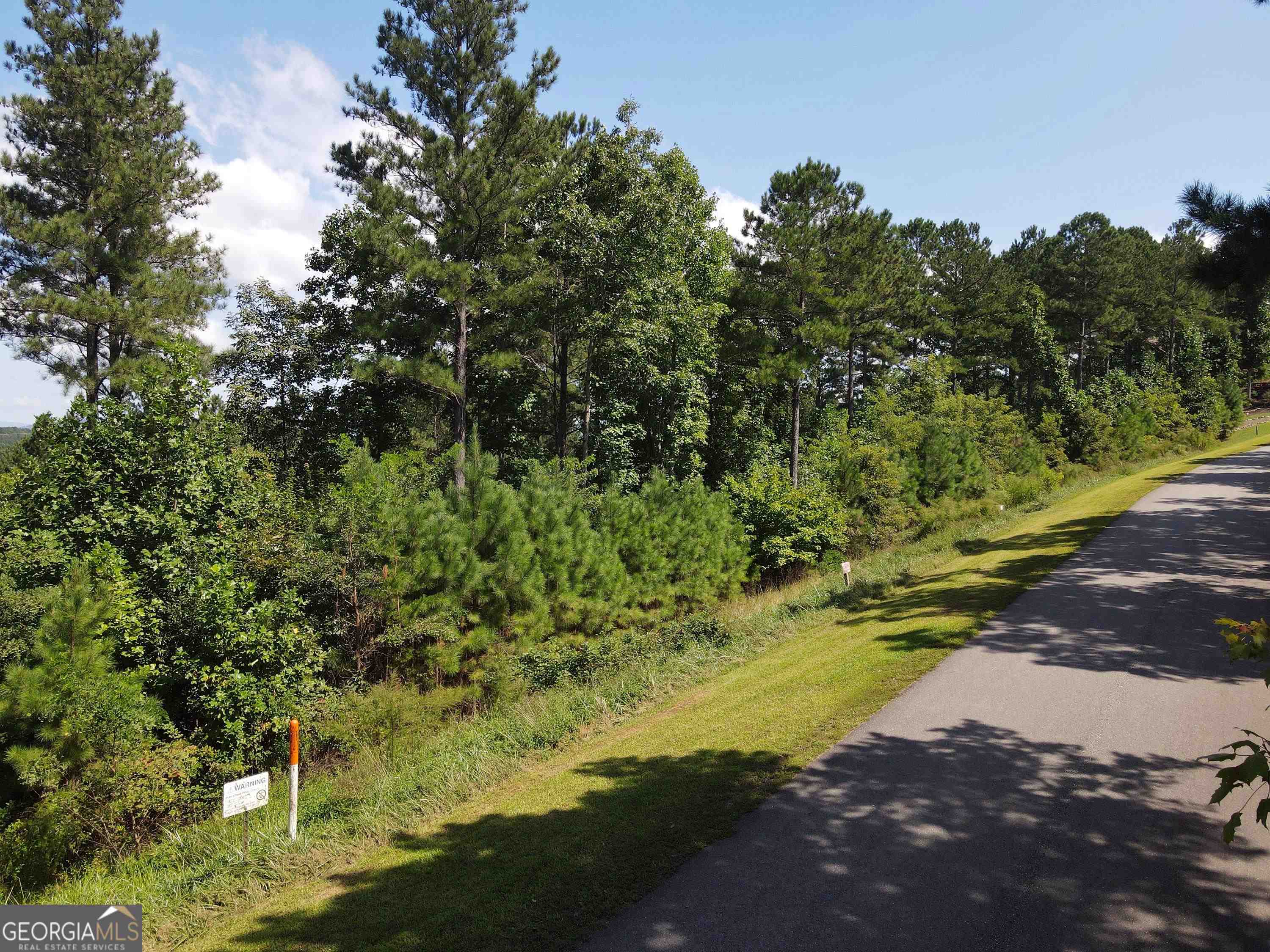 0 Ridge Peak View, Unit LOT 62 Blairsville, GA 30512 - Photo 37 of 55