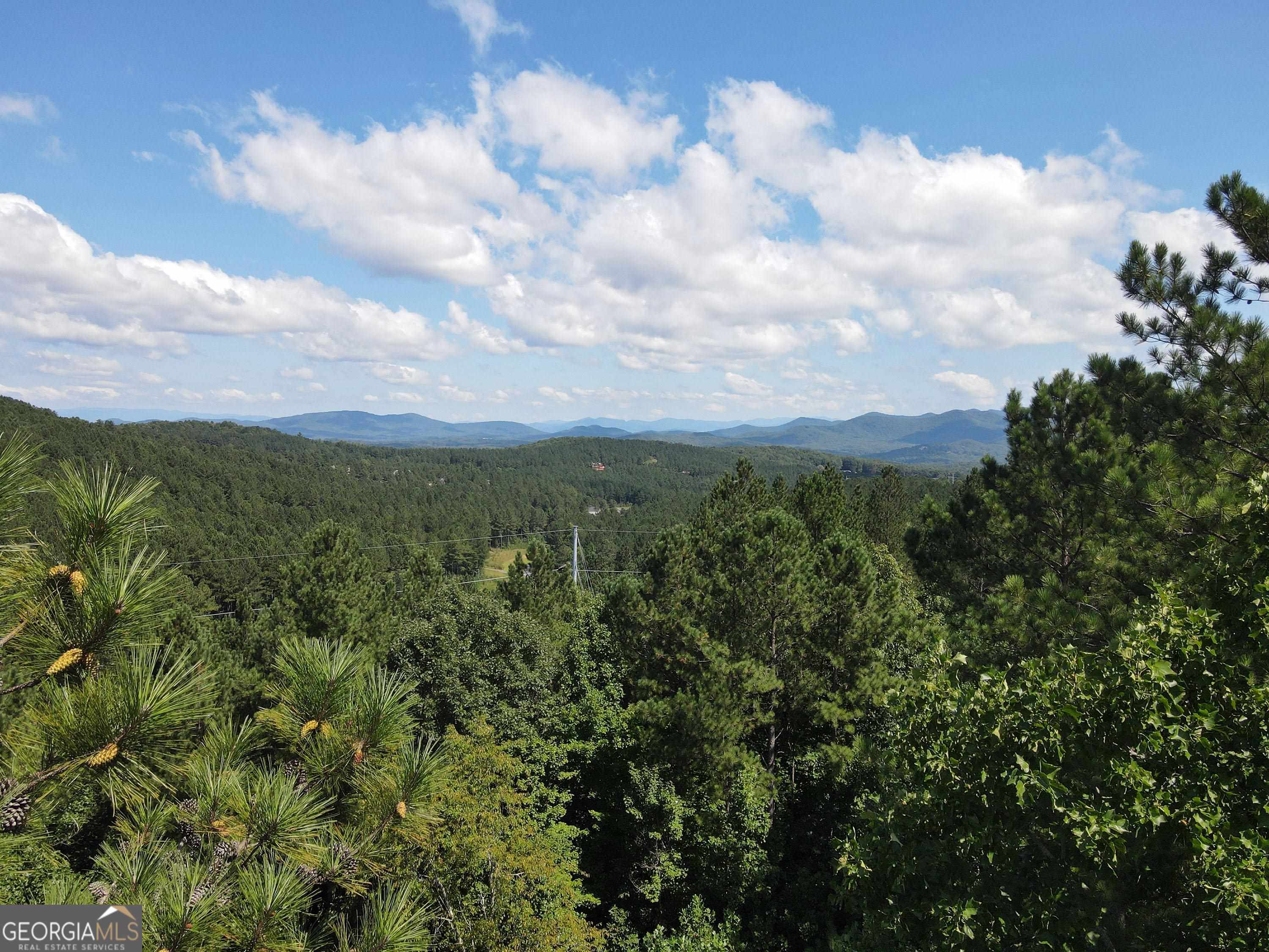 0 Ridge Peak View, Unit LOT 62 Blairsville, GA 30512 - Photo 38 of 55