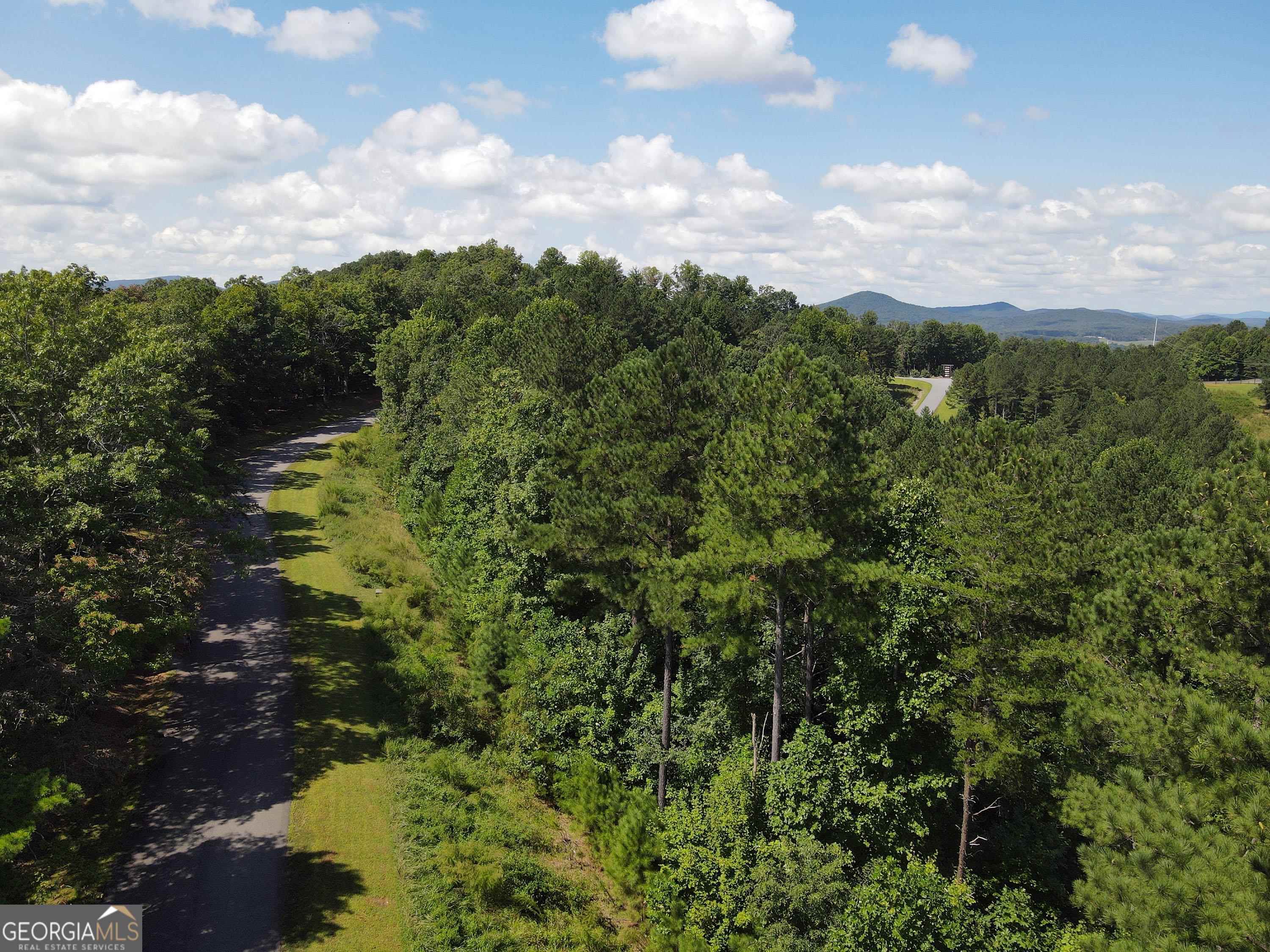 0 Ridge Peak View, Unit LOT 62 Blairsville, GA 30512 - Photo 39 of 55