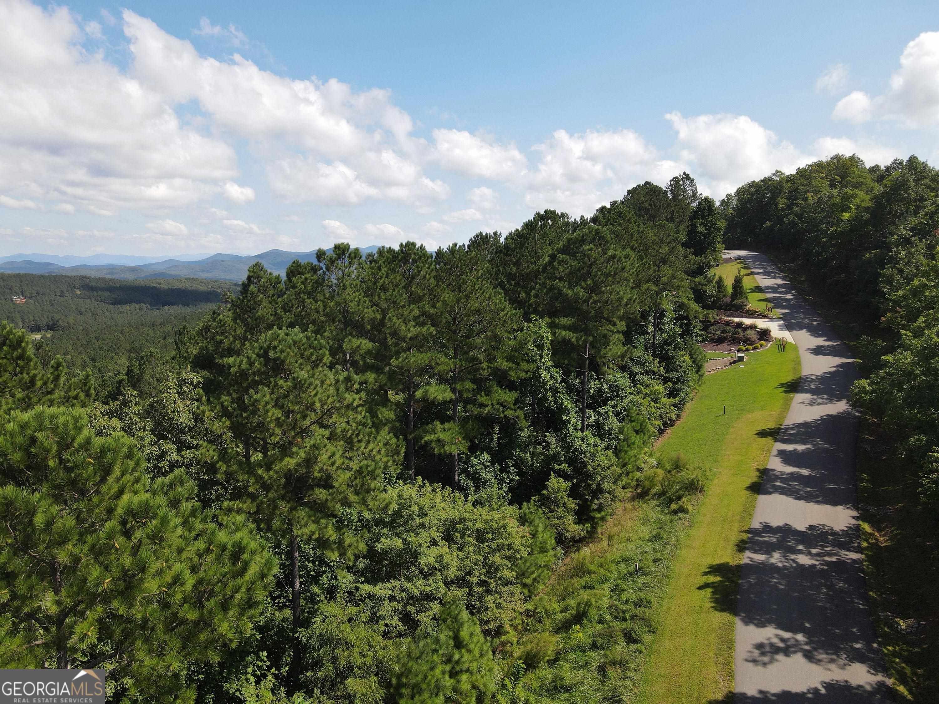 0 Ridge Peak View, Unit LOT 62 Blairsville, GA 30512 - Photo 40 of 55