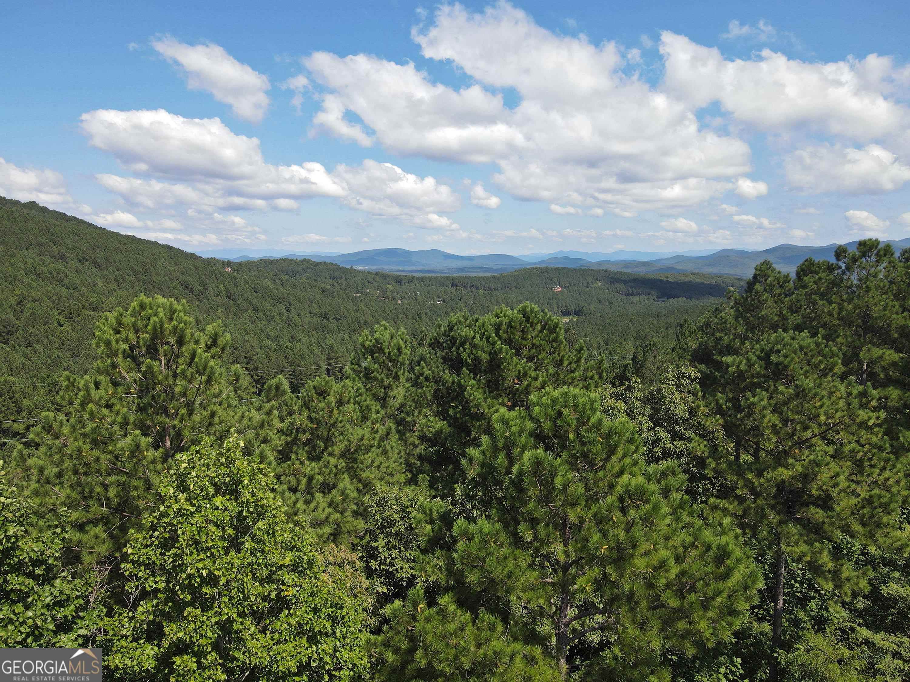0 Ridge Peak View, Unit LOT 62 Blairsville, GA 30512 - Photo 4 of 55