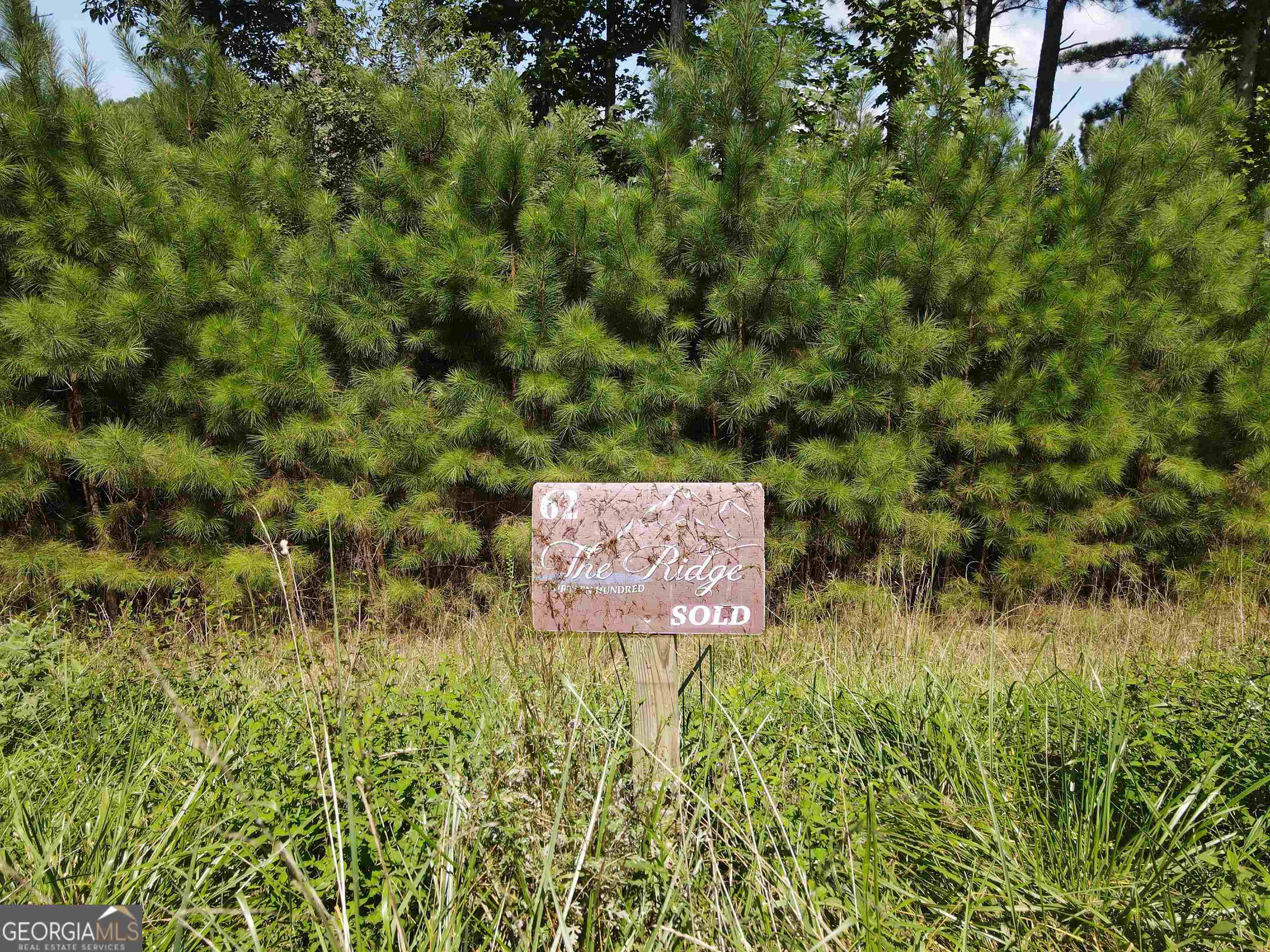 0 Ridge Peak View, Unit LOT 62 Blairsville, GA 30512 - Photo 7 of 55