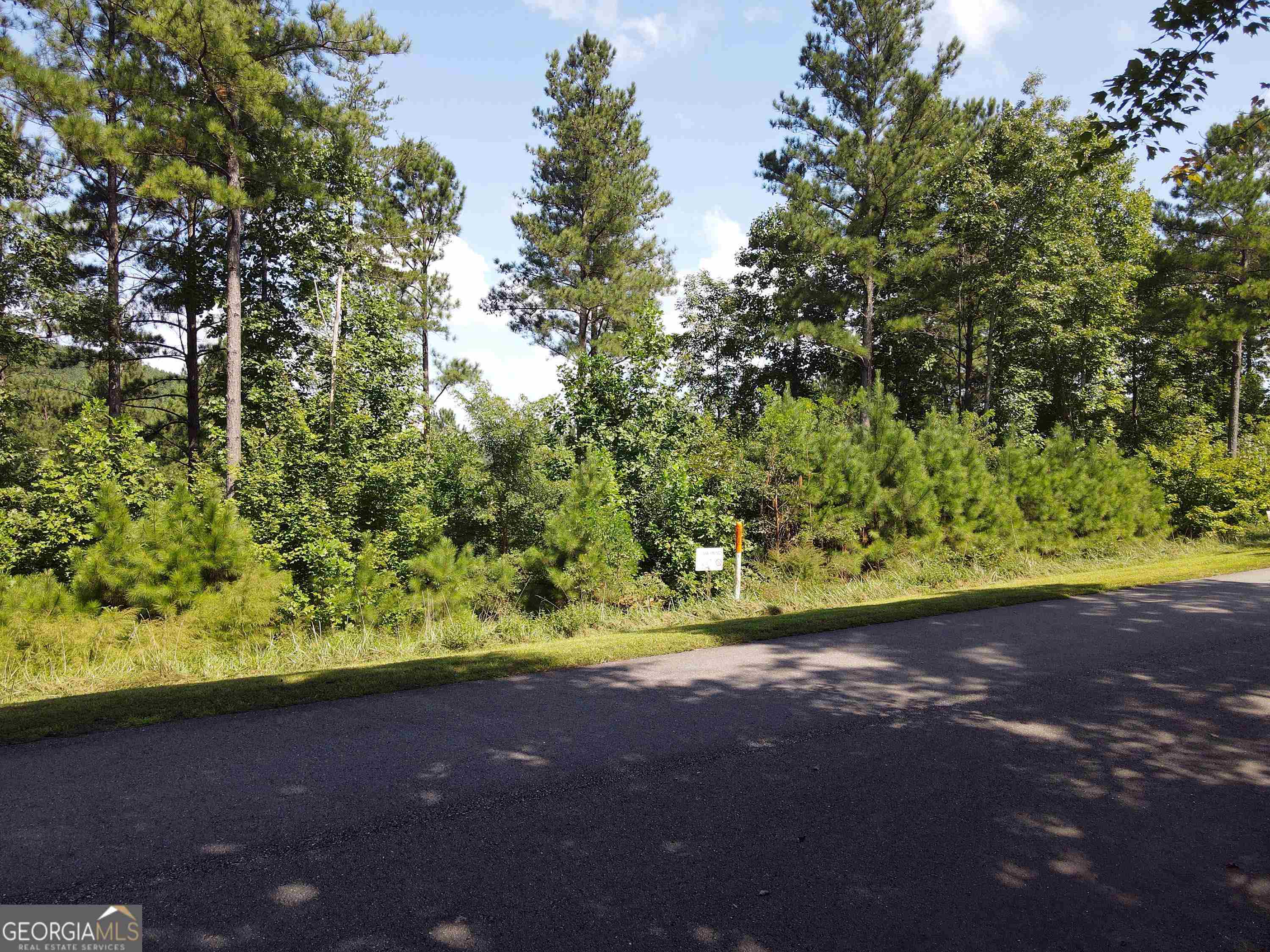 0 Ridge Peak View, Unit LOT 62 Blairsville, GA 30512 - Photo 8 of 55
