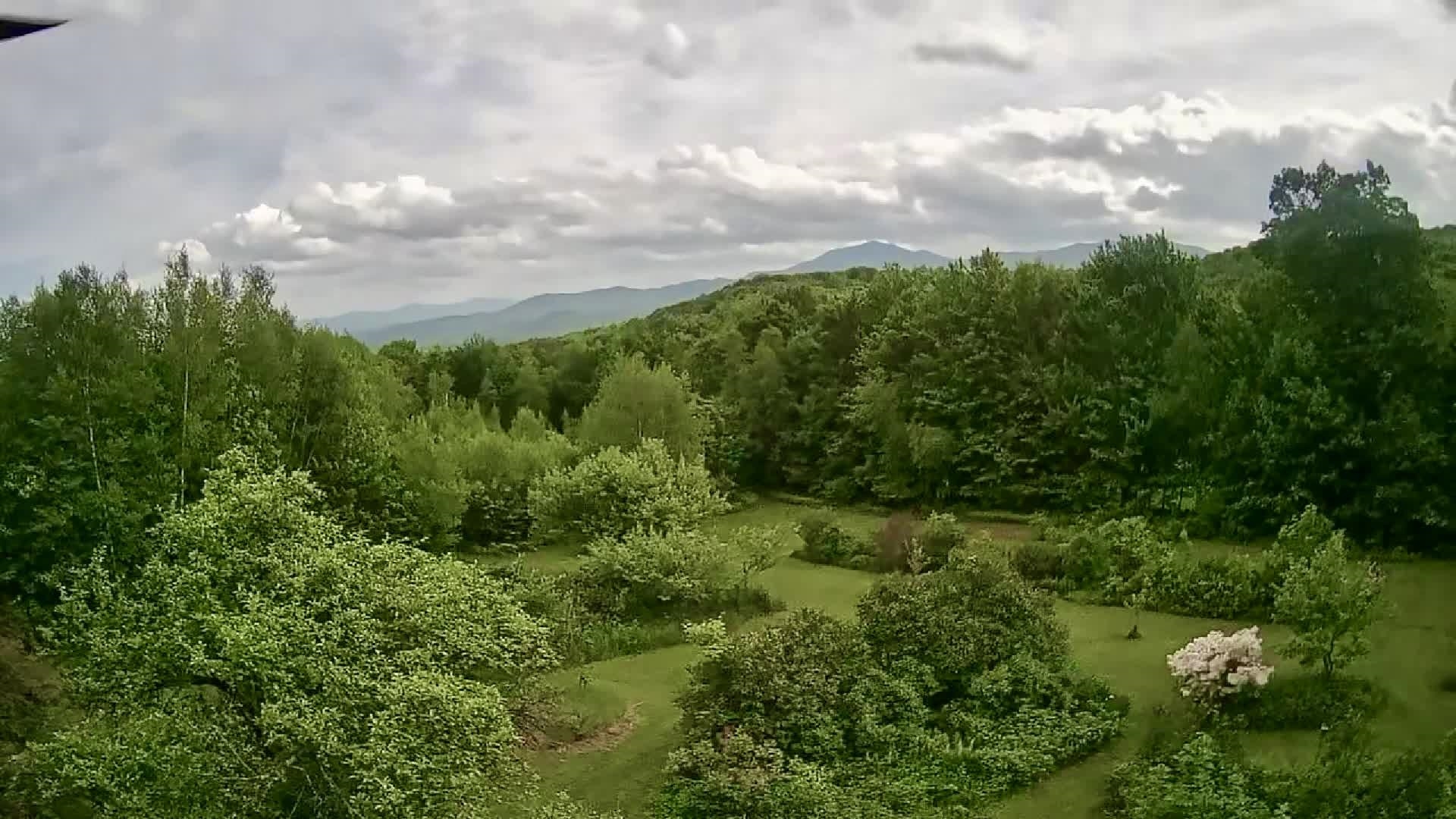 68 Riding Stable Road Johnson, VT 05656 - Photo 42 of 45
