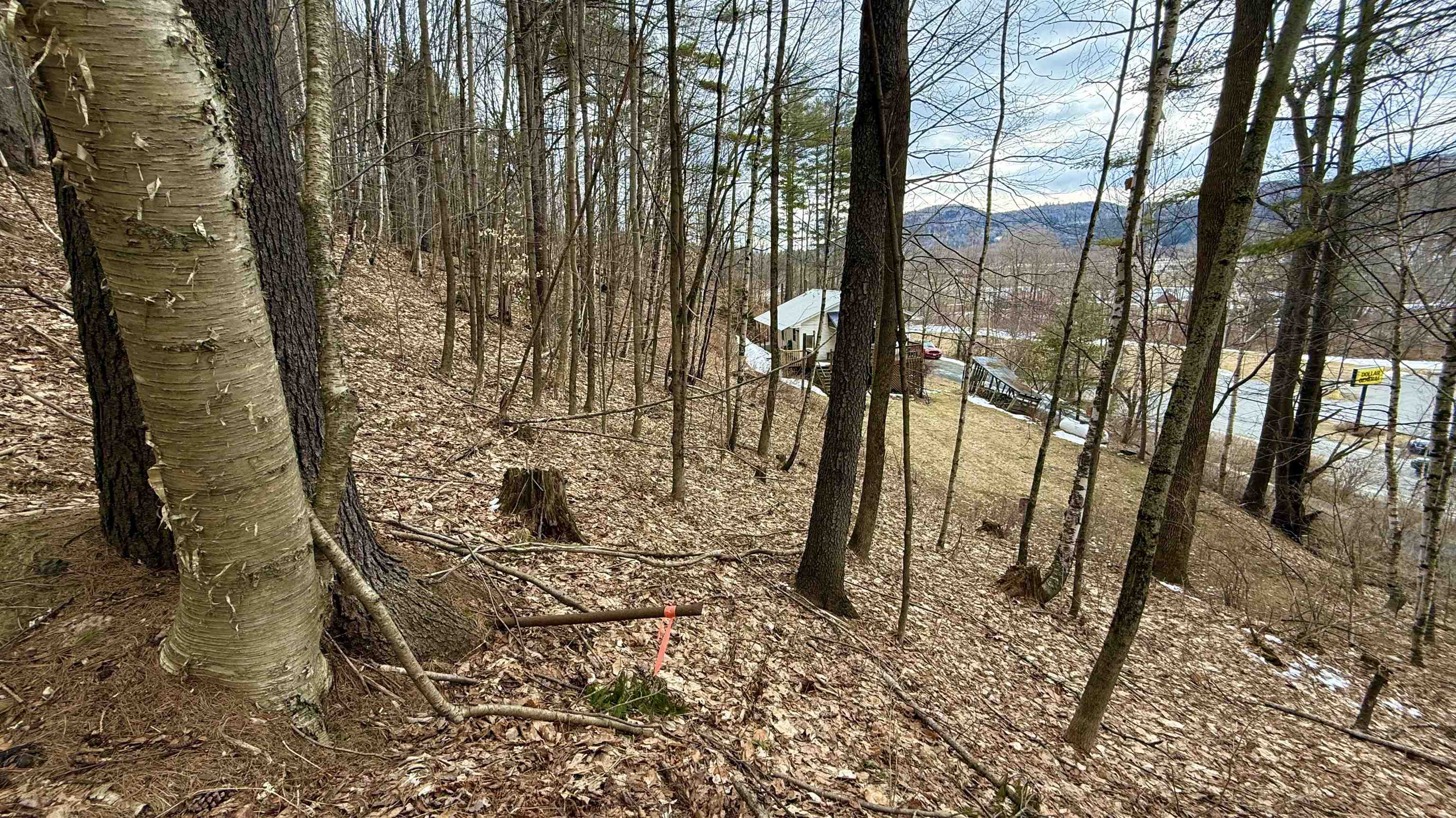 806 Highway 15 Johnson, VT 05656 - Photo 41 of 56
