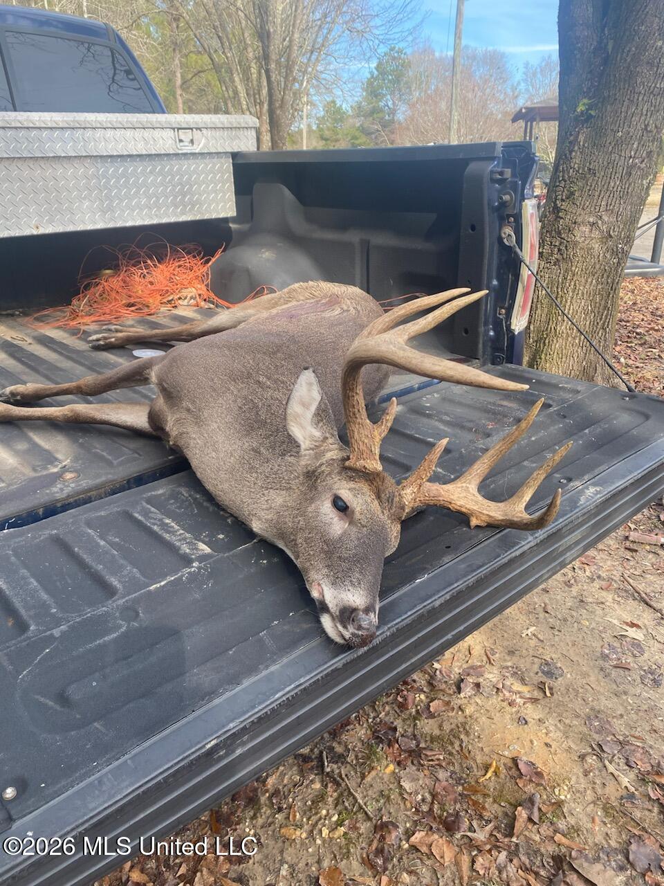 0 Miller Road Olive Branch, MS 38654 - Photo 22 of 26 #2338 bigger deer on truck