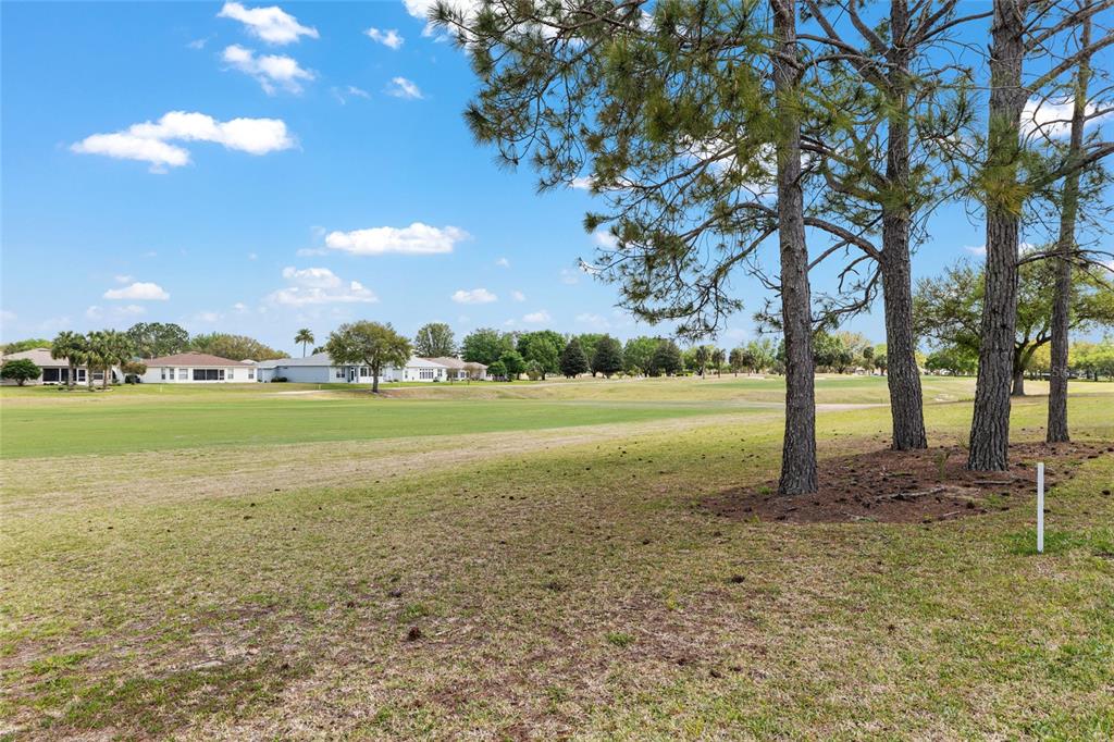 15757 Southwest 16th Avenue Road Ocala, FL 34473 - Photo 54 of 74 Gallery Image 54