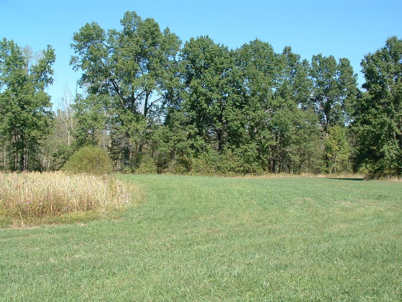 0 Nichols Lane Road Northwest Johnstown, OH 43031 - Photo 14 of 22 DSCF0011