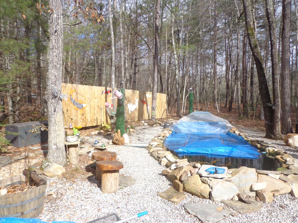 84 Victory Ridge Road Morganton, GA 30560 - Photo 11 of 63