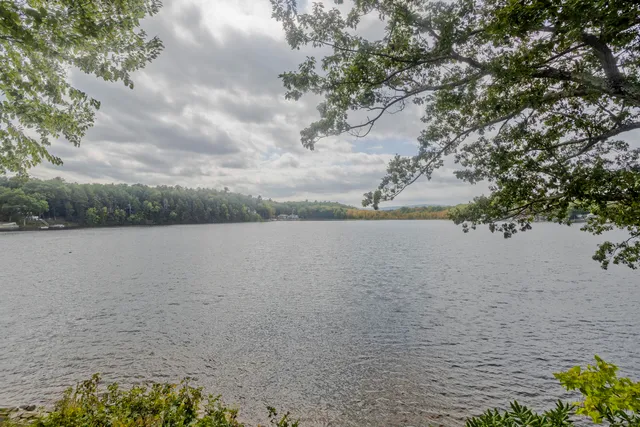 a view of a lake from a yard