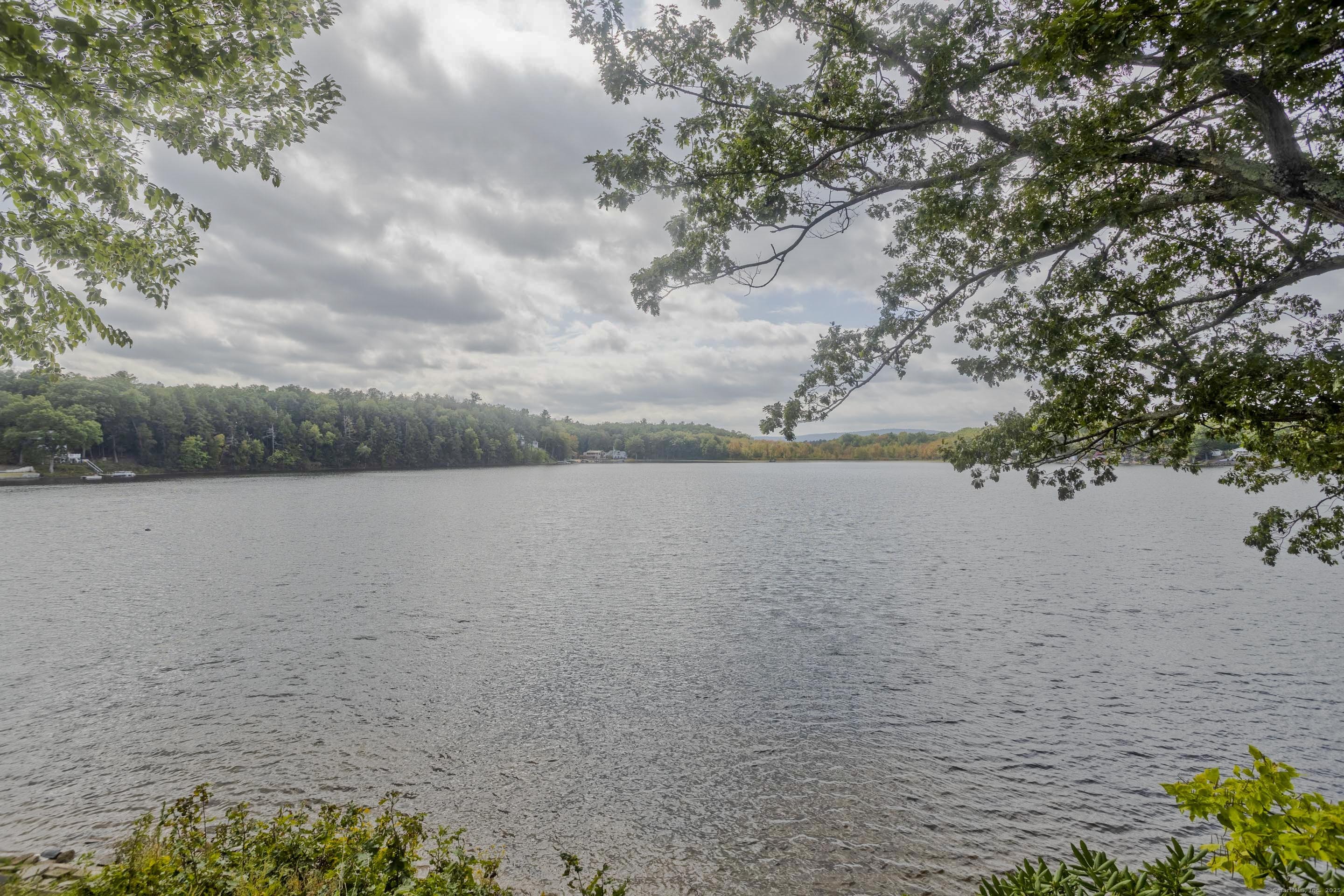 a view of a lake from a yard