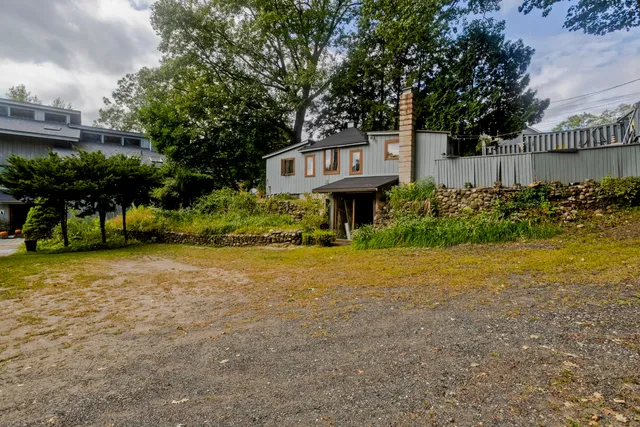 a view of a street with plants and trees