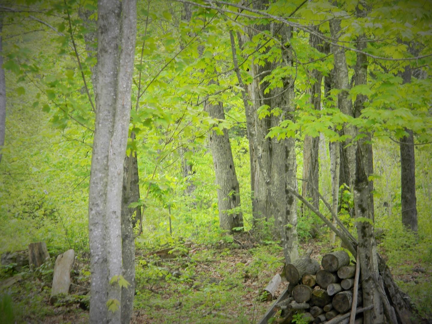 582 River Road Dresden, ME 04342 - Photo 7 of 13 7 (Copy)