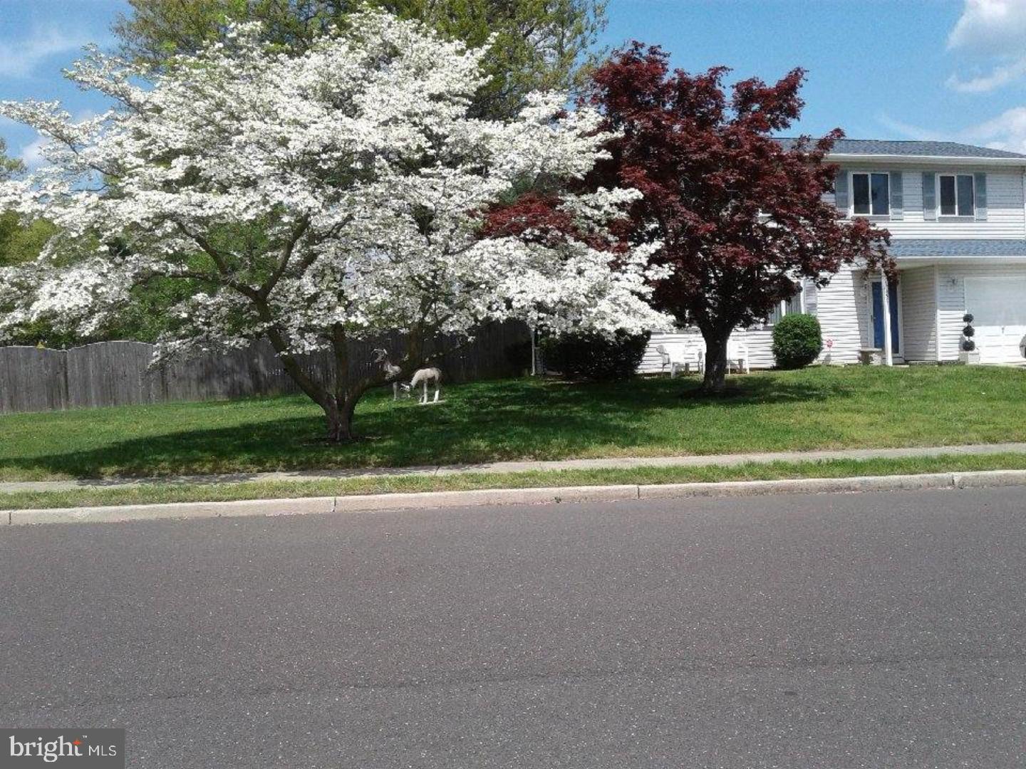 1 Kingsley Road Eastampton, NJ 08060 - Photo 1 of 1 a view of a house with a yard and potted plants
