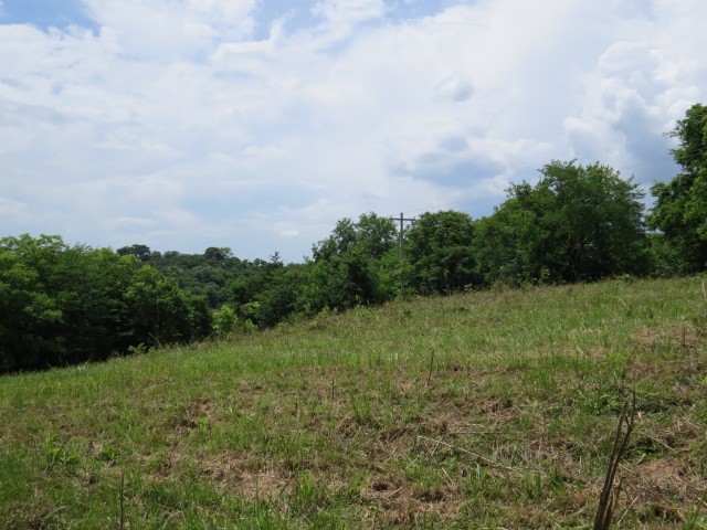 200 Hardy Road Pulaski, TN 38478 - Photo 19 of 20