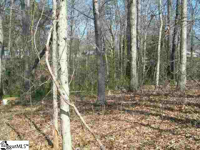 Hunts Bridge Road Greenville, SC 29617 - Photo 3 of 3 Gallery Image 3