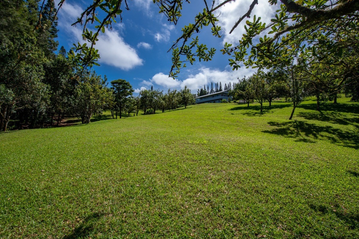 44-3265 Kalopa Mauka Road Honokaa, HI 96727 - Photo 28 of 30 a view of a field of grass and trees
