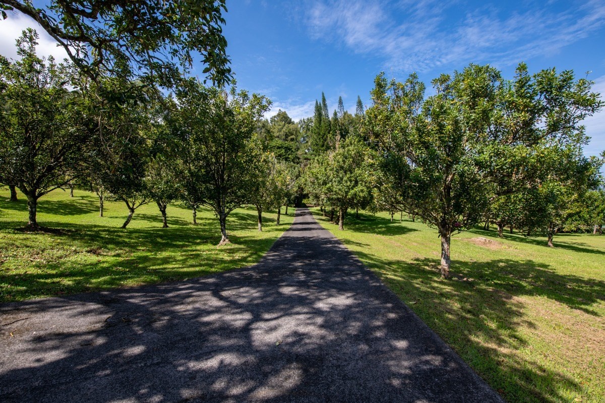 44-3265 Kalopa Mauka Road Honokaa, HI 96727 - Photo 29 of 30 a view of a park with large trees