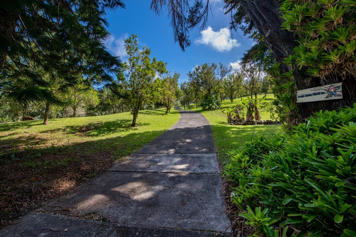 44-3265 Kalopa Mauka Road Honokaa, HI 96727 - Photo 4 of 30 a view of a park with large trees