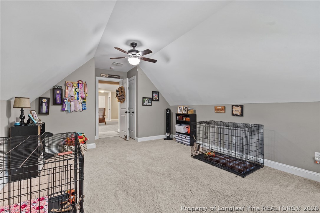 265 Heather Brook Circle Spring Lake, NC 28390 - Photo 32 of 42