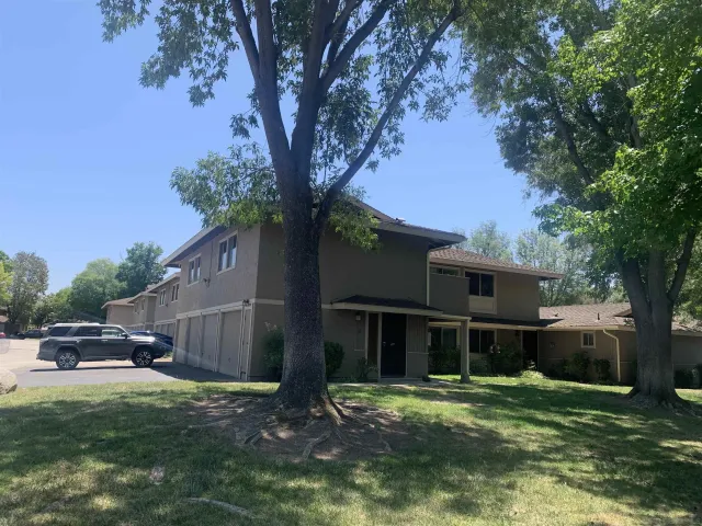 a view of a yard in front of a house with large tree