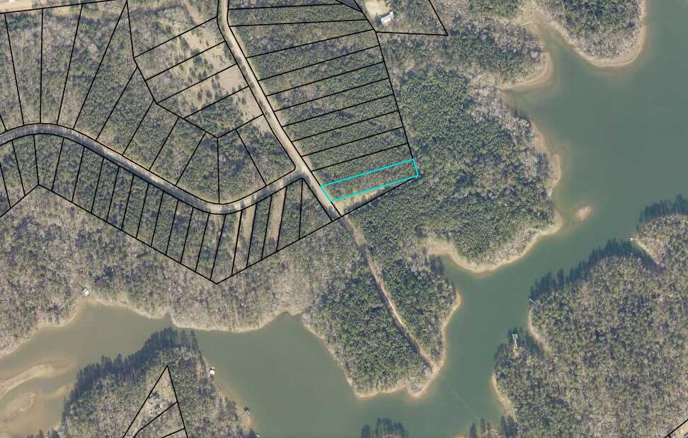 1078 Clinton-Williams Road Lincolnton, GA 30817 - Photo 3 of 5 Tax Ariel Screenshot