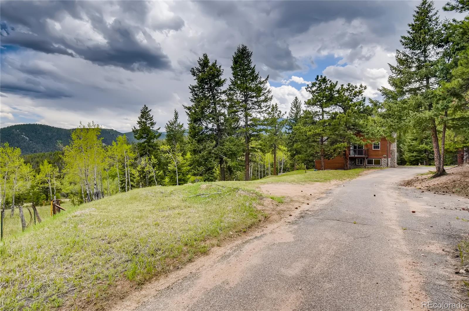 32104 Snowshoe Road Evergreen, CO 80439 - Photo 22 of 36 a view of a yard with an trees and plants