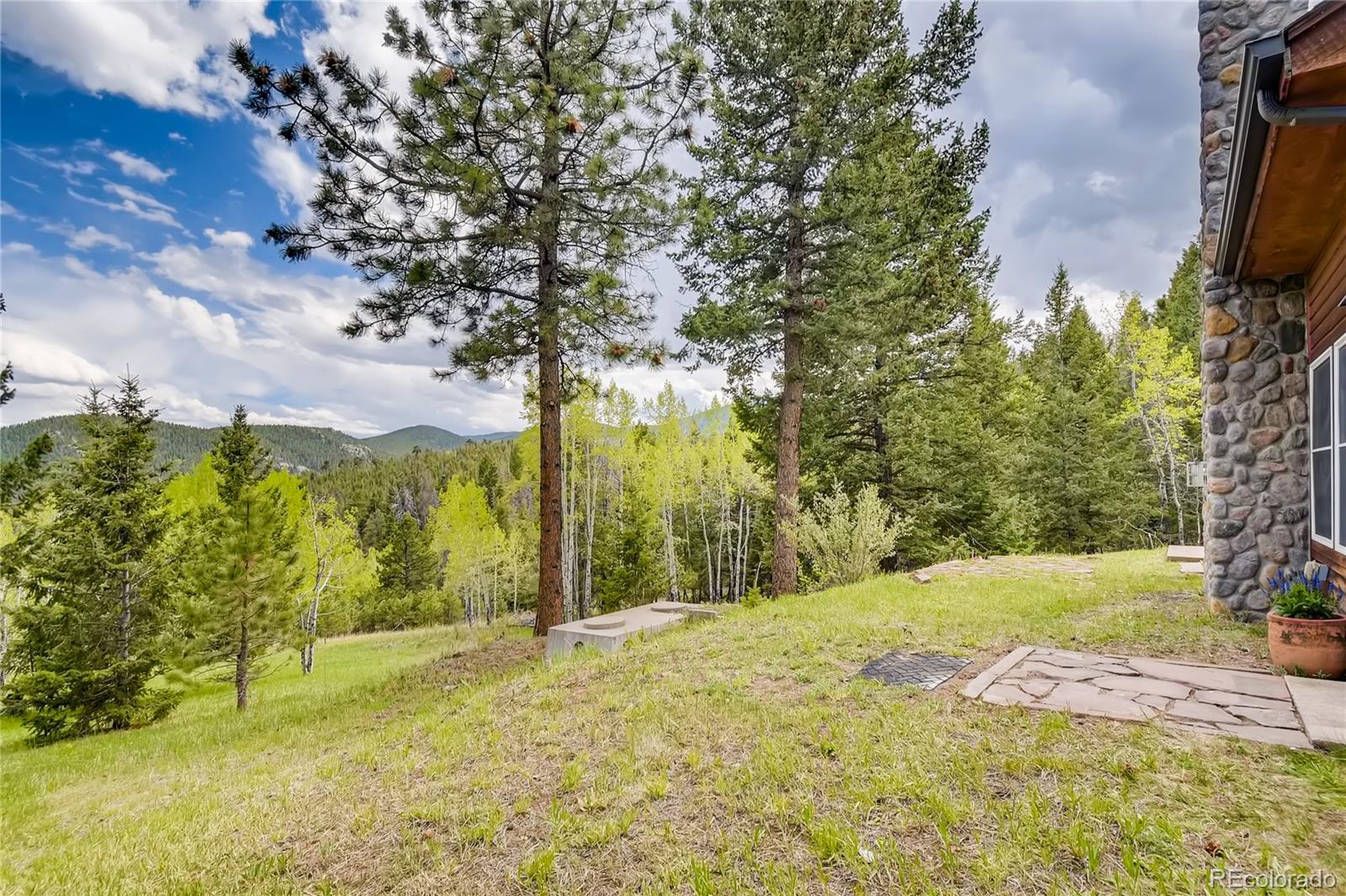 32104 Snowshoe Road Evergreen, CO 80439 - Photo 31 of 36 a view of backyard with outdoor space