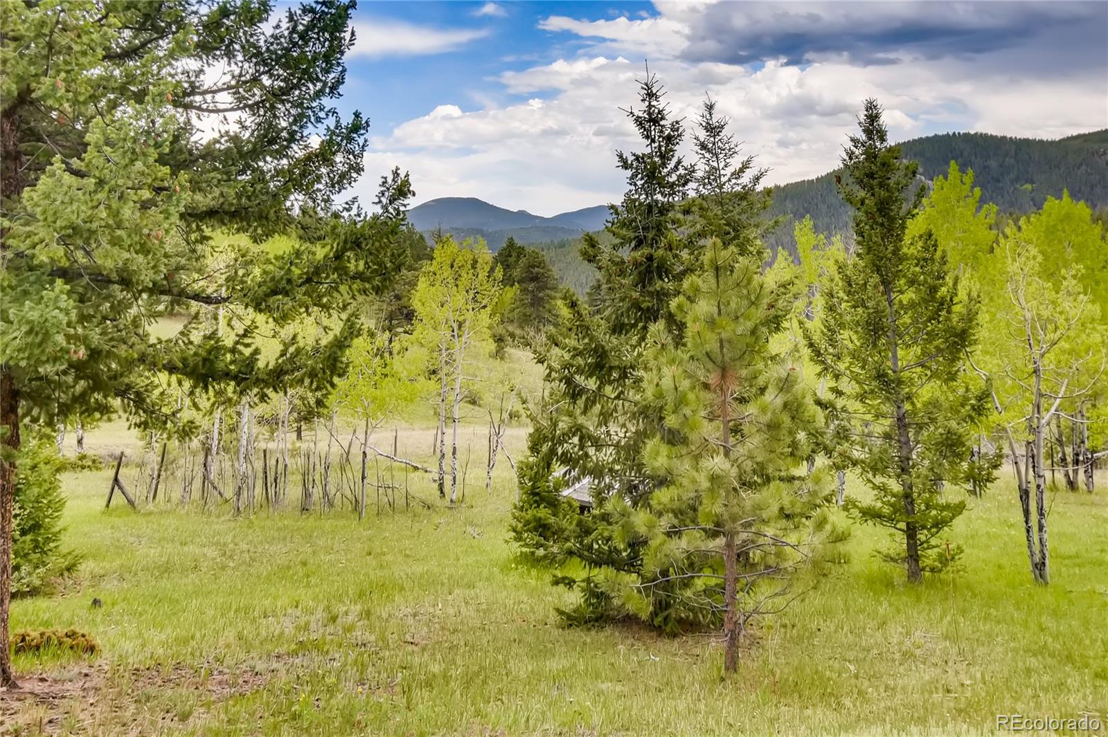 32104 Snowshoe Road Evergreen, CO 80439 - Photo 34 of 36