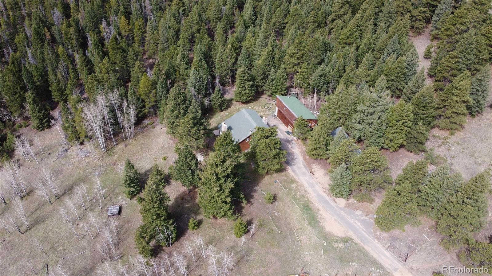 32104 Snowshoe Road Evergreen, CO 80439 - Photo 35 of 36 a view of a yard with plants and trees