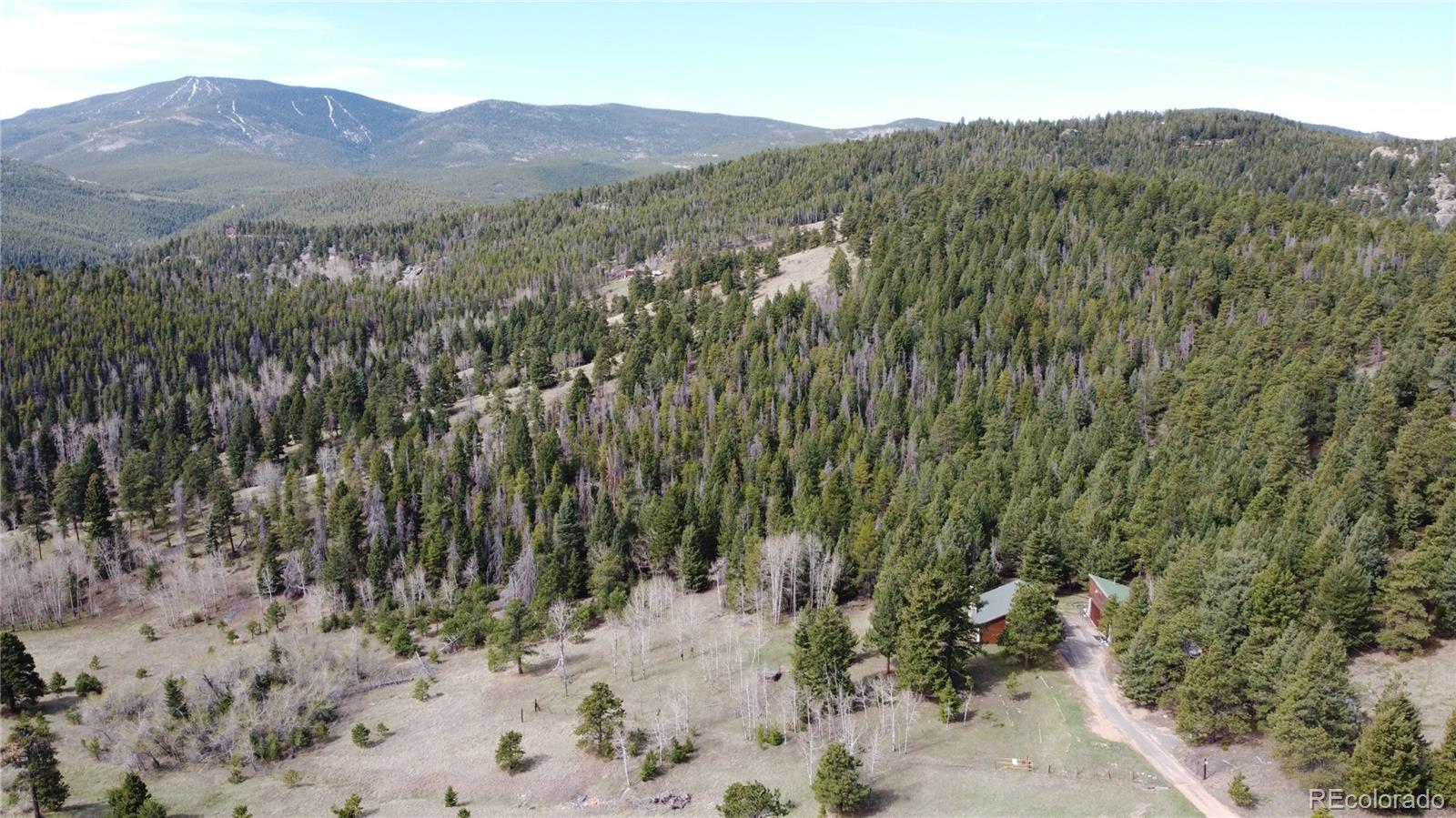 32104 Snowshoe Road Evergreen, CO 80439 - Photo 36 of 36 a view of a mountain in the distance in a field