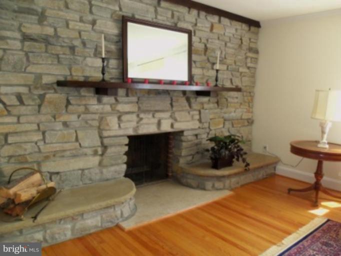 202 Hollen Road Baltimore, MD 21212 - Photo 10 of 29 Fireplace