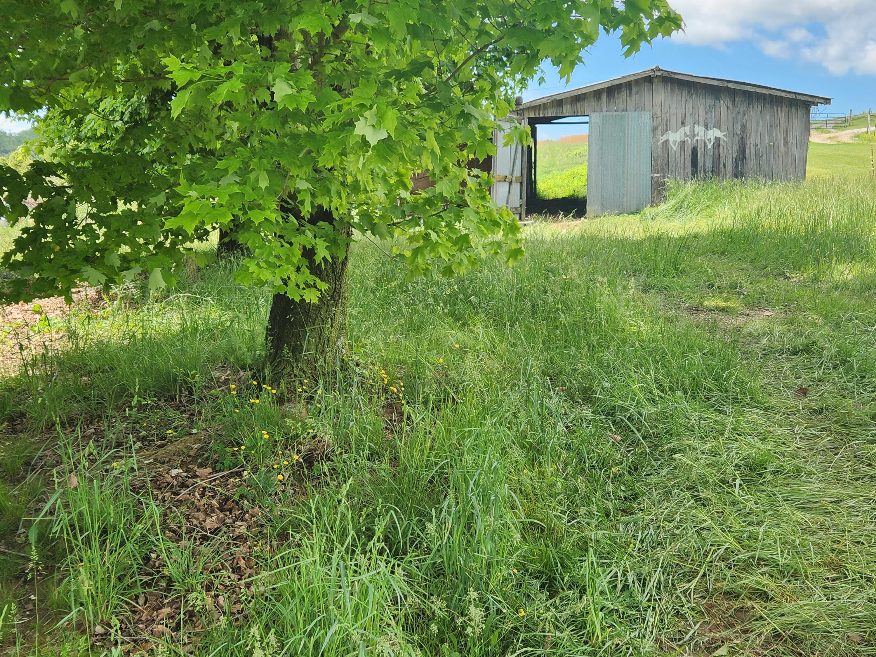 225 Morrison Road Chuckey, TN 37641 - Photo 3 of 18 225 Morrison Chuckey (5)