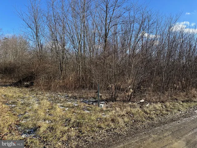 $79,900 | 124 1st Street, Unit 2 LOTS, New Paris, PA 15554