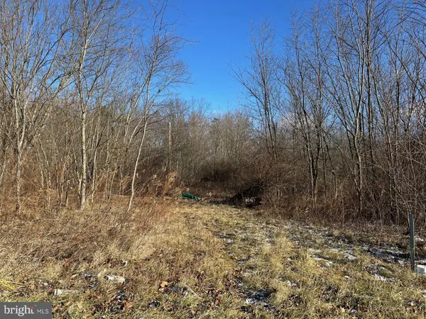 $79,900 | 124 1st Street, Unit 2 LOTS, New Paris, PA 15554