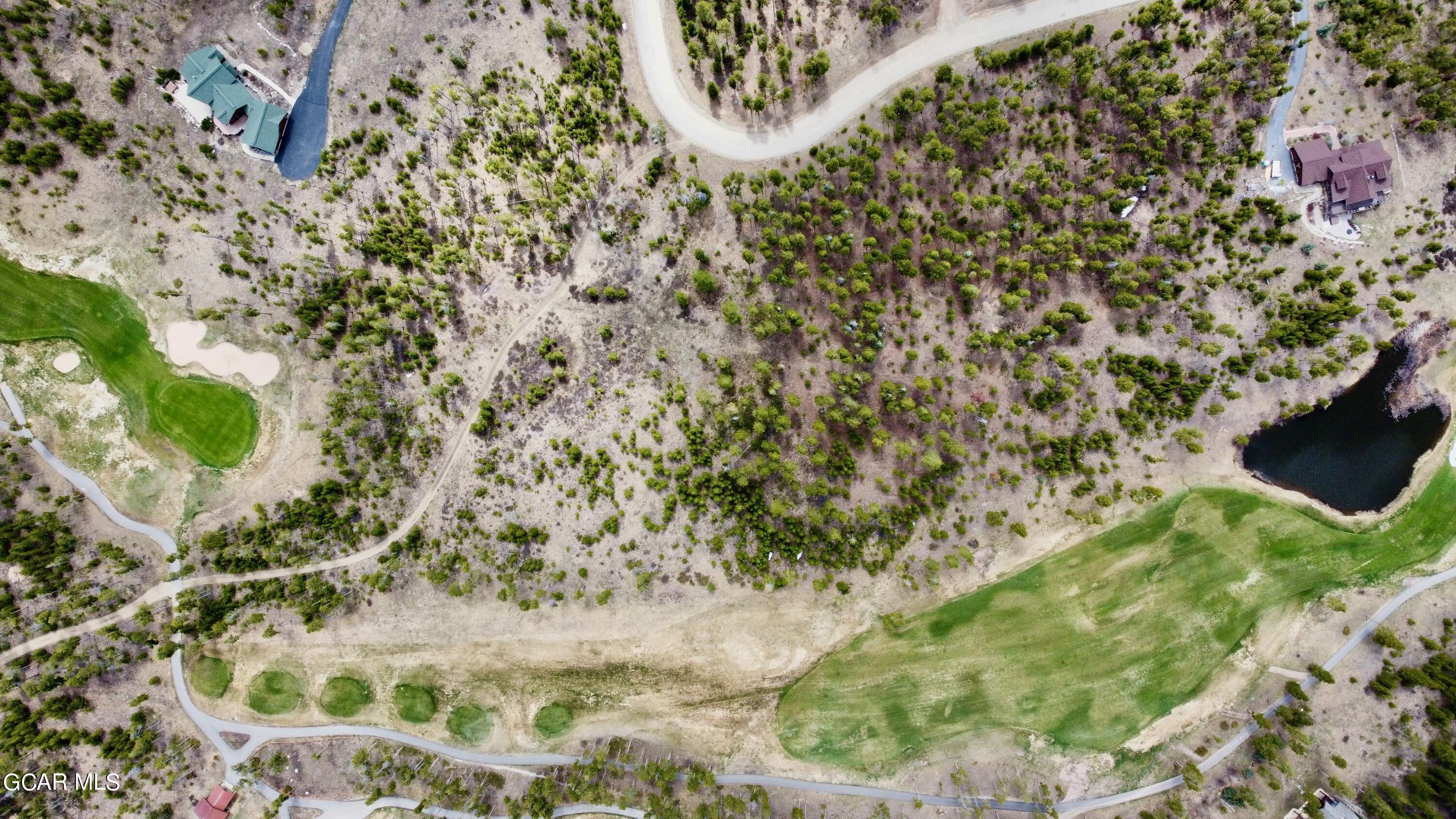 1795 Golf Course Circle Tabernash, CO 80478 - Photo 5 of 7 a close up of a plant in a garden