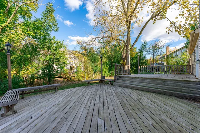a view of park with large trees