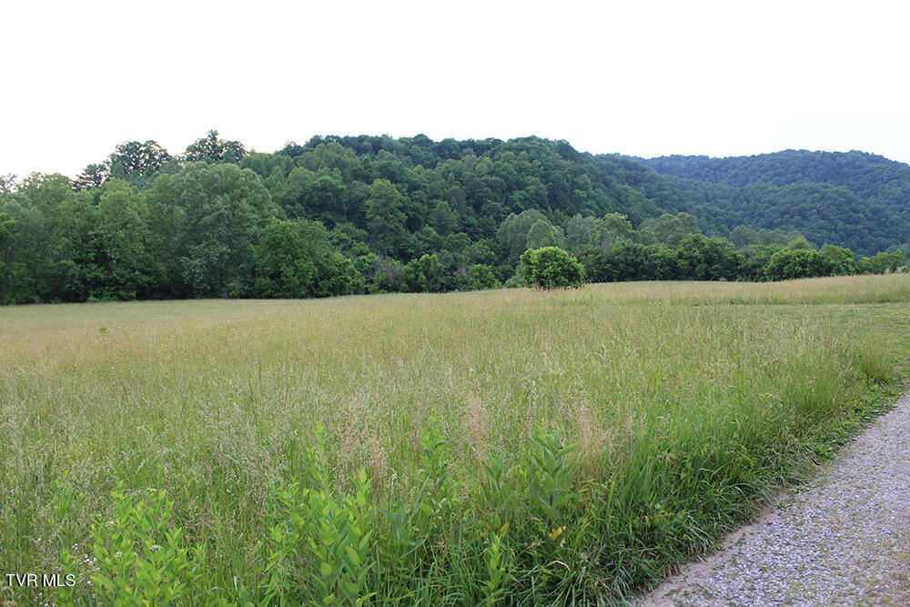 0 Key Hole Road Fort Blackmore, VA 24250 - Photo 1 of 10 IMG_6878
