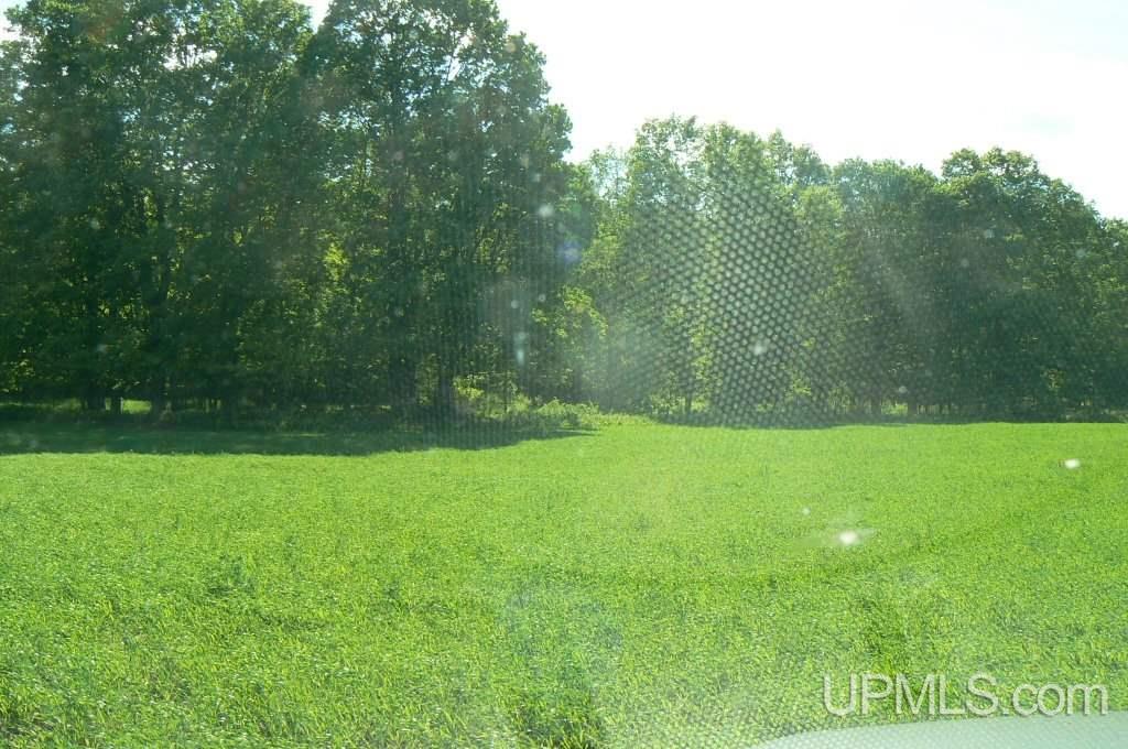 Tbd North Samuelson Road Chatham, MI 49816 - Photo 5 of 10
