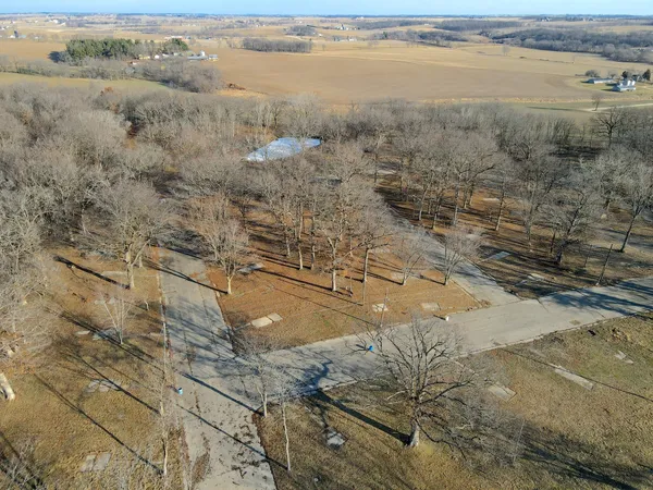 a view of dirt yard with large trees