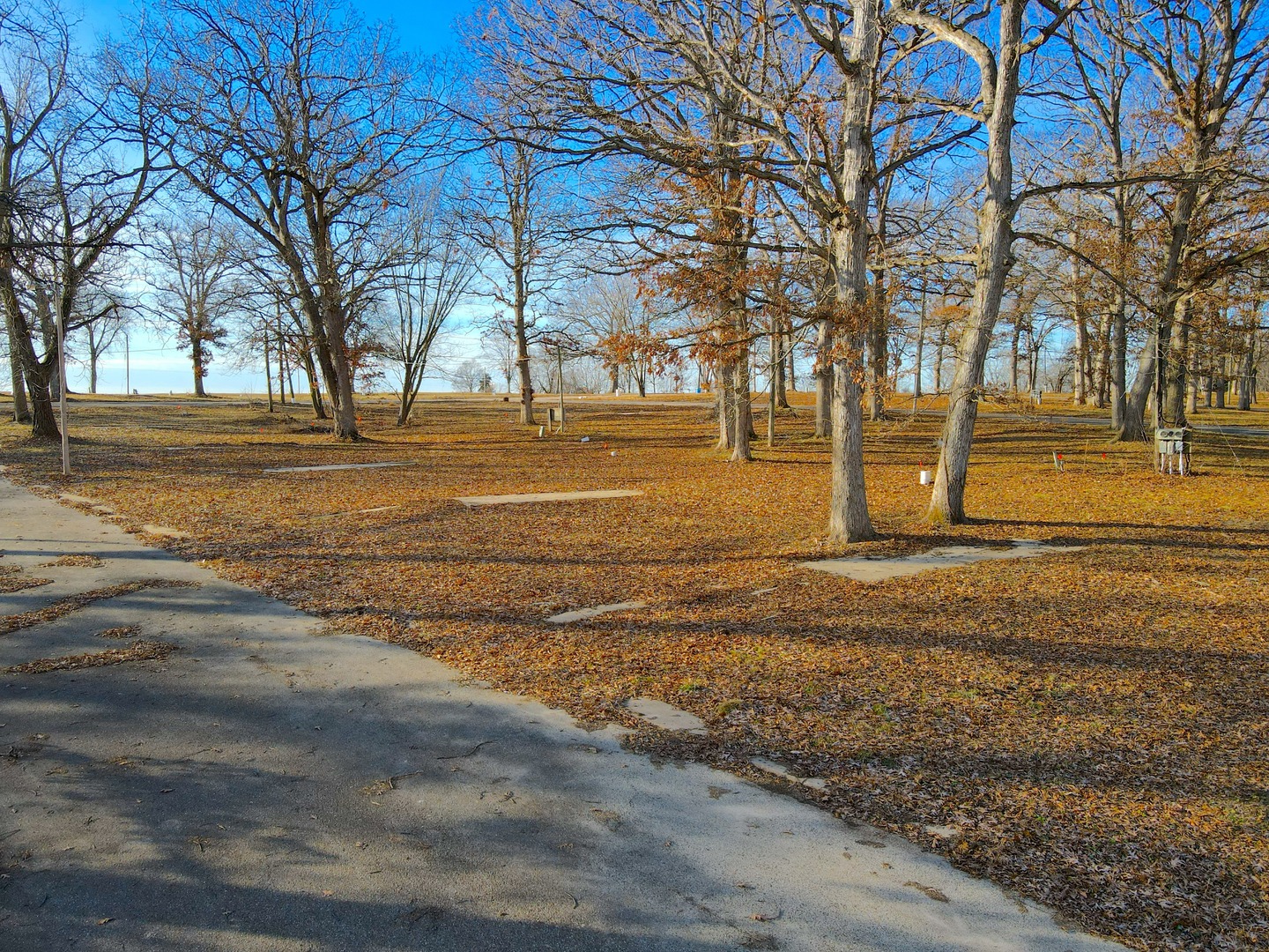 4500 East River Road Ridott, IL 61067 - Photo 20 of 35 a view of road with large trees